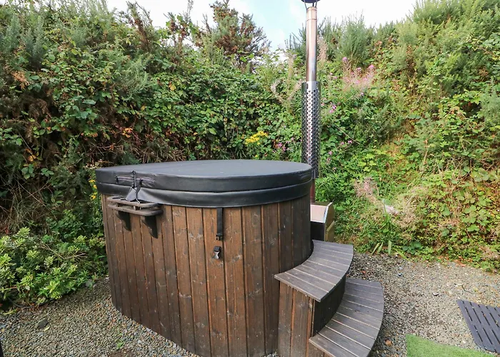 Stargazer * Kildermot