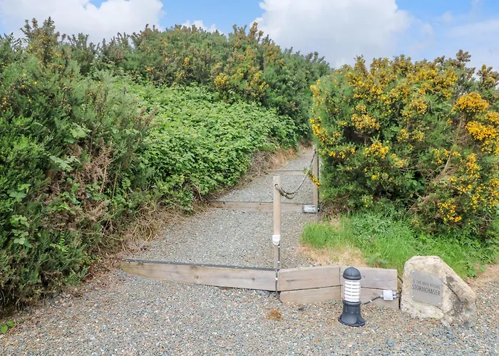 Stargazer * Kildermot